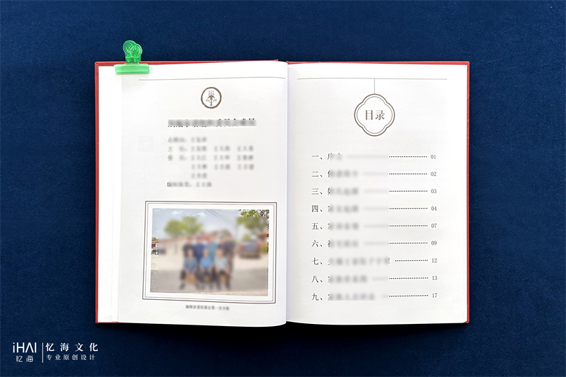 彩色印刷王氏家谱族谱-忆海文化