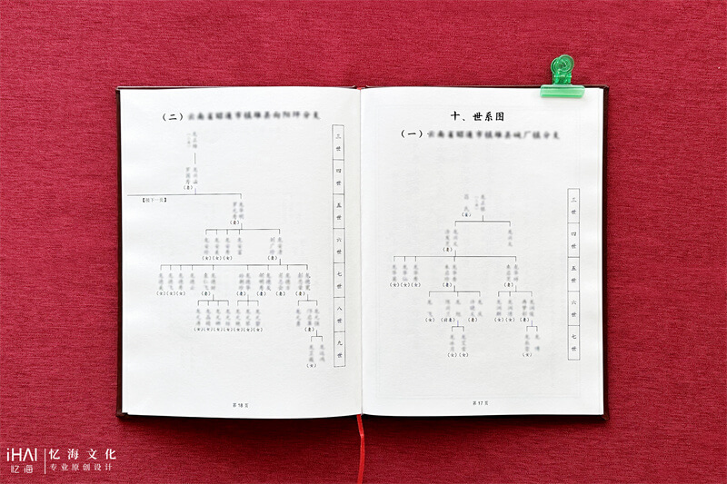 定制设计一本龙氏族谱-忆海文化