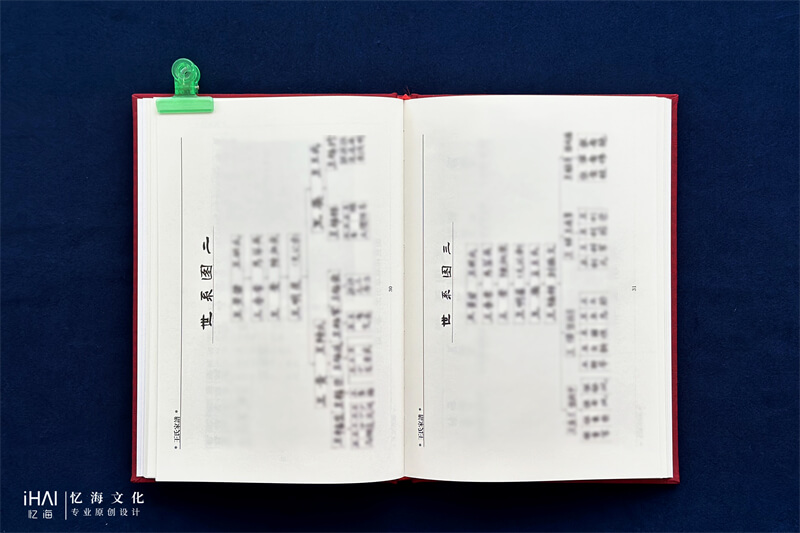 王氏家谱族谱家族世系图-忆海文化